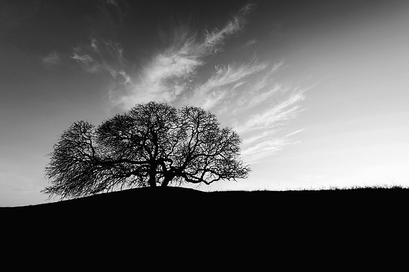 Lime Ridge open Space Concord, Ca