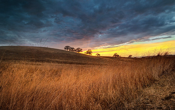 Concord Summer sunset