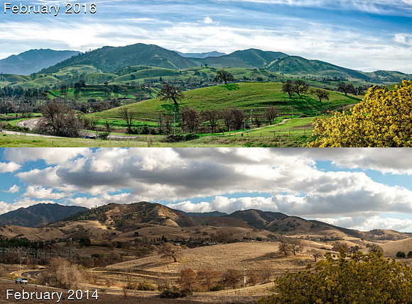 Concord Hills Feb 2016 Feb 2014