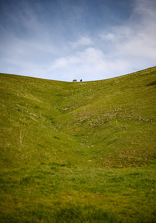 Clayton Hills