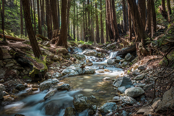 Limekiln State Park