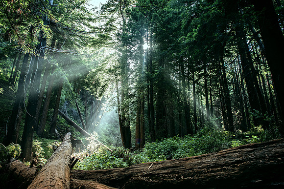 Limekiln State Park