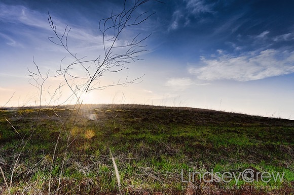 Lime Ridge open Space Concord, Ca