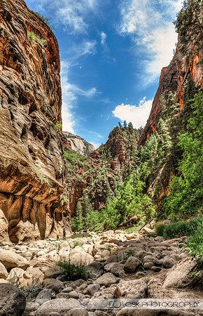 Zion Narrows