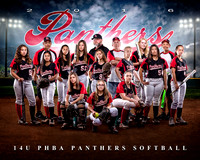 panthers 2016