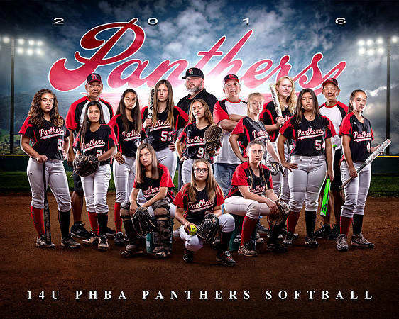 panthers 2016