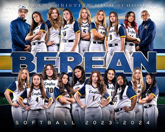 COMPOSITE TRADITIONAL TEAM