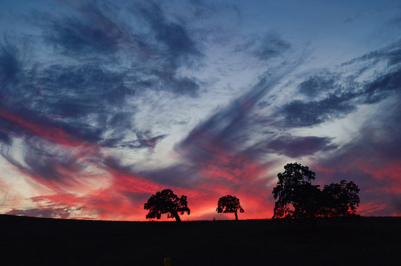 Concord, Ca
