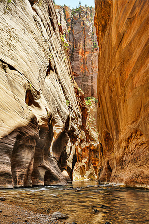 Zion Narrows