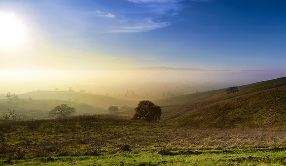 Lime Ridge open Space Concord, Ca